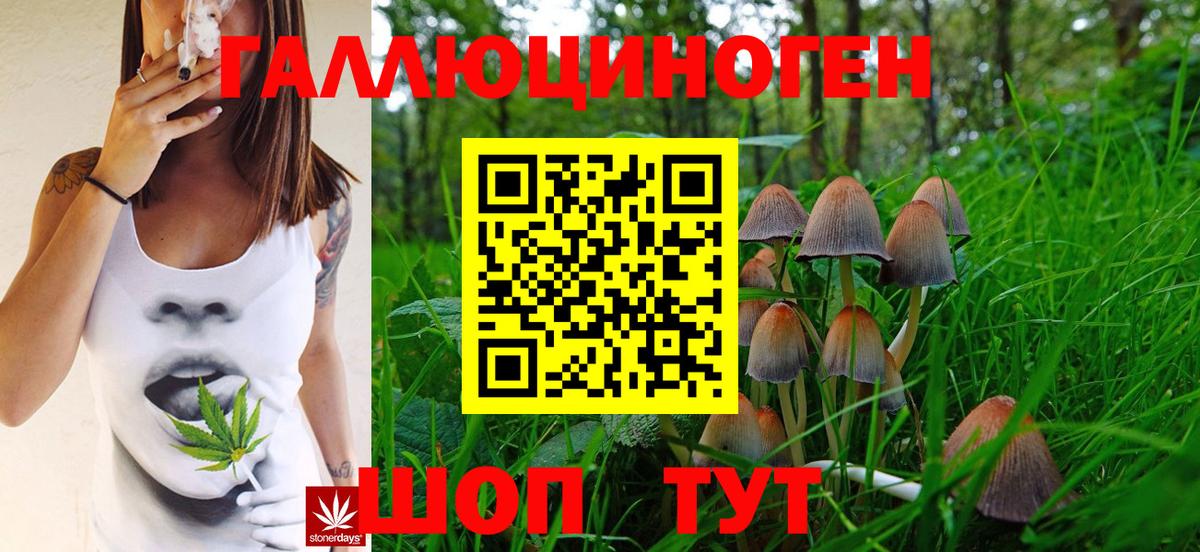 продажа наркотиков  Вход с VPN  Краснокаменск  Галлюциногенные грибы GOLDEN TEACHER 