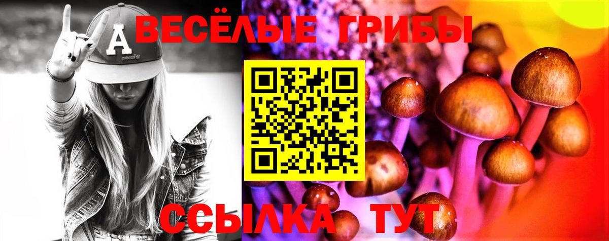 Галлюциногенные грибы Psilocybe Краснокаменск